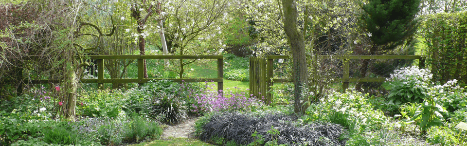 Stillingfleet